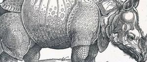 Dürer schuf seinen berühmten Rhinozeros-Holzschnitt 1515 nach einer brieflichen Beschreibung.