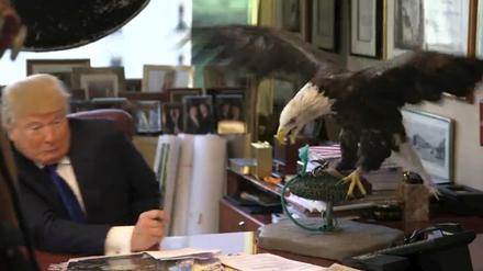 Der Adler geht in Angriffspose. 