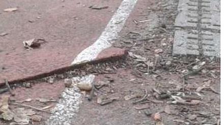 Stolperfalle am Gymnasium Steglitz