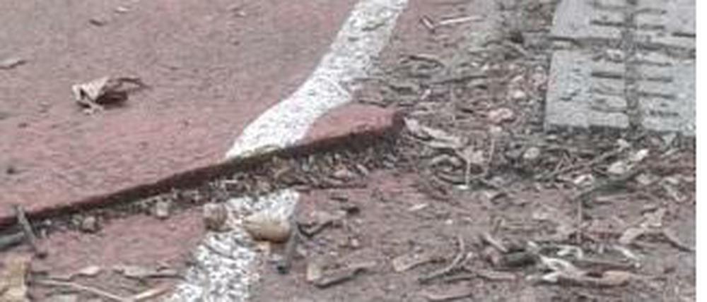 Stolperfalle am Gymnasium Steglitz