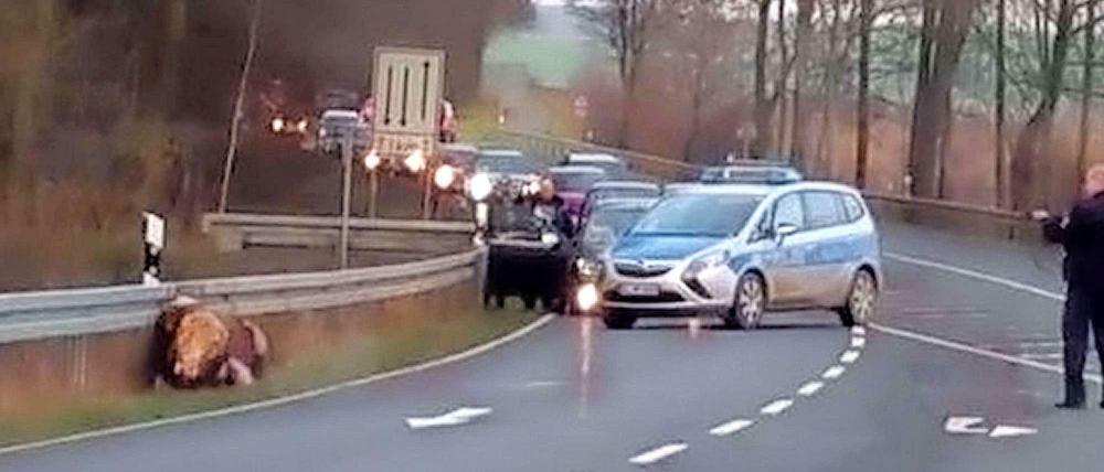 Handy-Aufnahmen zeigen einen Polizisten in Hessen, der einen entlaufenen Bullen mit 20 Schüssen erschießt. 