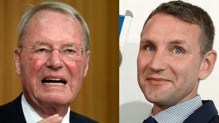 Hans-Olaf Henkel (links), Björn Höcke.