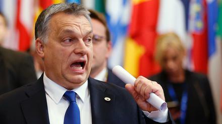 Seine Aussage stützt der ungarische Regierungschef Viktor Orban auf nicht näher bezeichnete "vorliegende Studien".