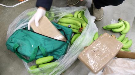 Enormer Fund in Polen: 178 Kilogramm Kokain von Polizei sichergestellt. 