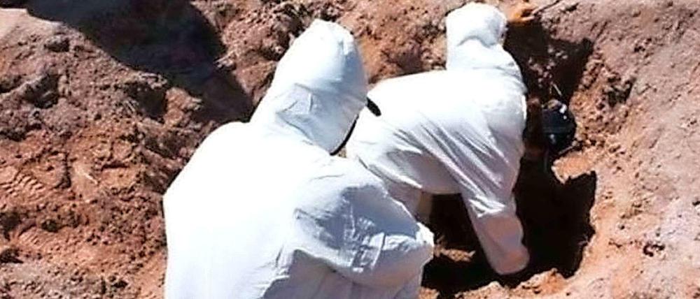 In Mexiko sind mindestens 19 Leichen in einer Schlucht gefunden worden. Beamte durchsuchen weiter den Fundort.