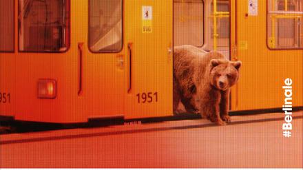 Einen Braunbär in der U-Bahn zeigt eines der offiziellen Berlinale-Plakatmotive für die 66. Berliner Filmfestspiele.