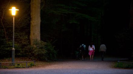 Dunkler Park mit Spaziergängern, am Eingang nur spärlich beleuchtet.