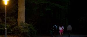 Dunkler Park mit Spaziergängern, am Eingang nur spärlich beleuchtet.