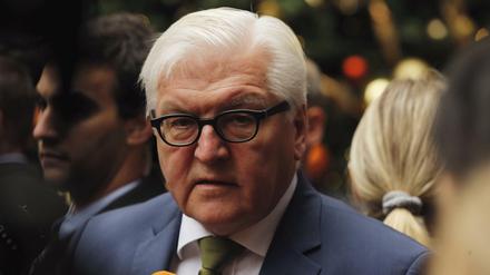Außenminister Frank-Walter Steinmeier warnt vor "geistiger Brandstiftung".