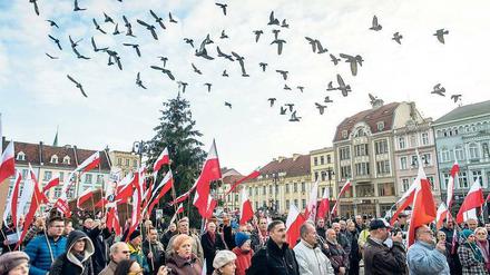 Unterstützer. Diese Menschen gehen für die neue Regierung auf die Straße. Doch auch der Protest der demokratischen Gegner formiert sich.