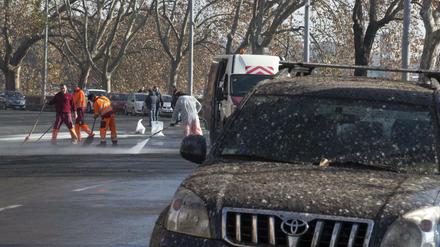 Römische Guano-Games: Der Starenkot hat die Stadt im Griff. Autos sind ihm schutzlos ausgeliefert. 