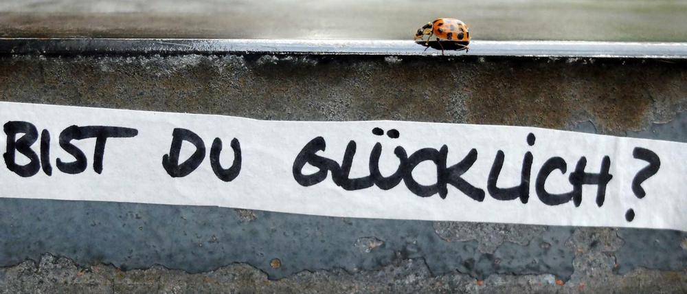 Glückskäfer
