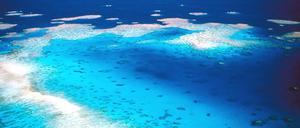 Die Umweltschutzorganisation Greenpeace kritisierte die Entscheidung der australischen Regierung scharf.