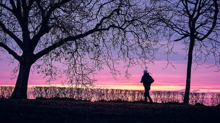 Morgenröte. Mehr Sport zu treiben gehört zu den Klassikern der guten Vorsätze. Foto: dpa