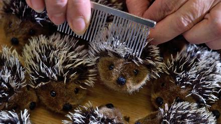 Igel pflegen? Wohl lieber nur als Plüschtier! Oder sehr intensiv über mehrere Montate. 