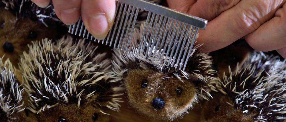 Igel pflegen? Wohl lieber nur als Plüschtier! Oder sehr intensiv über mehrere Montate.