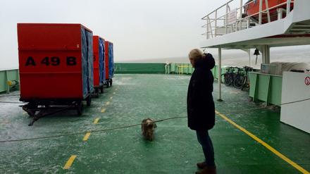 Eis an Deck. Dieser Hund muss mal. Geht leider seit den frühen Morgenstunden nur an Deck.
