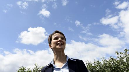 AfD-Chefin Frauke Petry kann den Wahlkampf planen. Dank einer Spendenaktion hat die Partei innerhalb von drei Wochen mehr als zwei Millionen Euro gesammelt. 