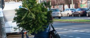Erst in die Wohnung und jetzt wieder raus: Tannenbäume landen vorerst wieder am Straßenrand.
