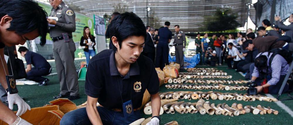 Überall in Asien sind 2015 Hunderte Stoßzähne afrikanischer Elefanten beschlagnahmt worden. Seit drei Jahren werden mehr Elefanten gewildert als geboren werden. 