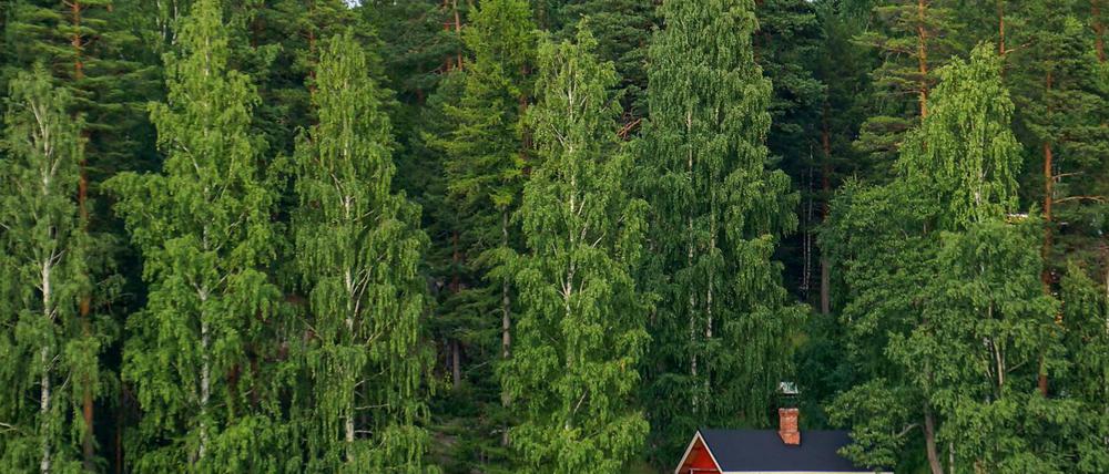 So schön kann Finnland sein. Doch in Elisabeth Zöllers Roman "F.E.A.R." geschehen in der Idylle schreckliche Dinge.