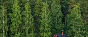 So schön kann Finnland sein. Doch in Elisabeth Zöllers Roman "F.E.A.R." geschehen in der Idylle schreckliche Dinge. 