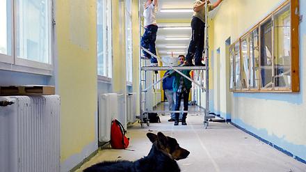 Streichkandidat. Die Sanierung der Berliner Schulen wird Milliarden kosten. Bis 2019 sollen erstmal 739 Millionen Euro ausgegeben werden, sagte Senatorin Scheeres.
