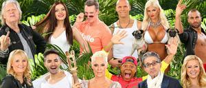 Diese zwölf Kandidaten wollen "Dschungelkönig" werden: Obere Reihe, v.l.: Sänger Gunter Gabriel, 73), "Topmodel"-Teilnehmerin Nathalie Volk, 19, Ballermann-Star Jürgen Milski, 52, Ex-Fußball-Profi Thorsten Legat, 47, "It-Girl" Sophia Wollersheim, 28, Reality-Star David Ortega, 30. Unten v.l.: TV-Coach Helena Fürst, 41, "DSDS"-Legende Menderes, 31, Hollywood-Star Brigitte Nielsen, 52, Moderator Ricky Harris, 53, Schauspieler Rolf Zacher, 74, Schauspielerin Jenny Elvers, 43.