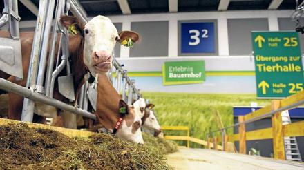 Wie geht's? Tierhaltung ist ein großes Thema auf der Messe.