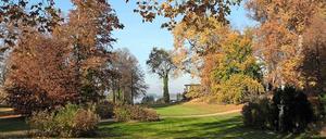 So schön kann der Park sein..., aber leider fehlt das Geld, um ihn dauerhaft zu pflegen. Feiern soll nun Aufmerksamkeit bringen...