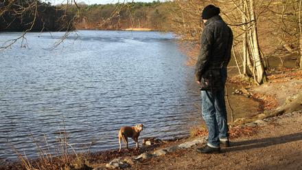 Mitte Dezember 2015 hat das Verwaltungsgericht das Hundeverbot an Krumme Lanke und Schlachtensee aufgehoben. Der Bezirk kann nun in Berufung gehen