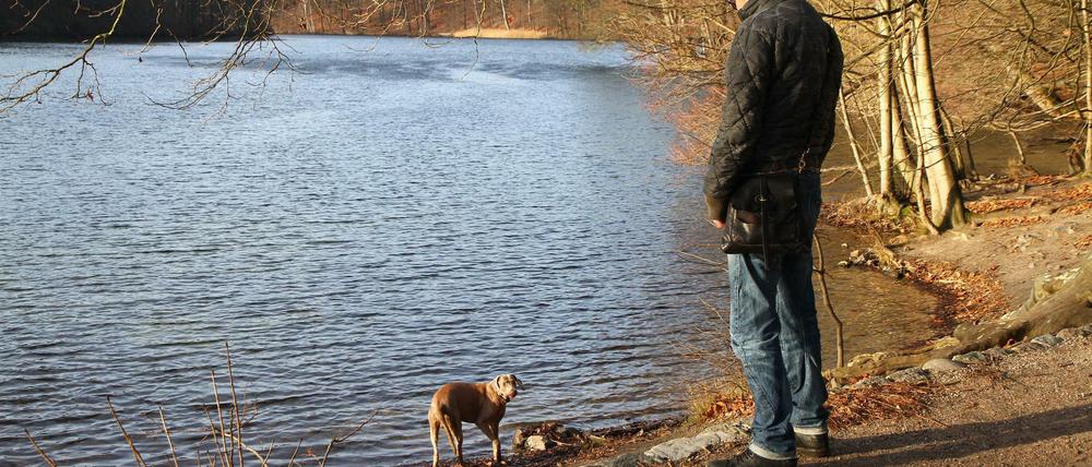 Mitte Dezember 2015 hat das Verwaltungsgericht das Hundeverbot an Krumme Lanke und Schlachtensee aufgehoben. Der Bezirk kann nun in Berufung gehen