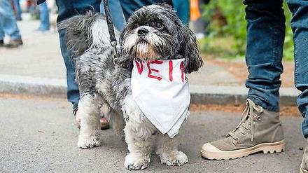Dürfen die Hunde bald - angeleint - zwischen Oktober und April wieder um die Seen?