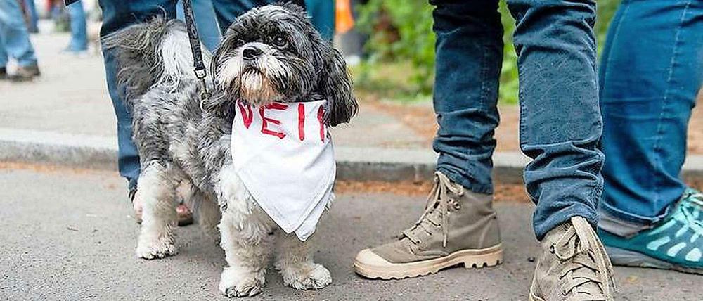 Dürfen die Hunde bald - angeleint - zwischen Oktober und April wieder um die Seen?
