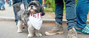 Dürfen die Hunde bald - angeleint - zwischen Oktober und April wieder um die Seen?