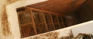 Durch diesen Tunnel hinter einem Schrank wollte der mexikanische Drogenboss "El Chapo" vor seiner Festnahme flüchten. 