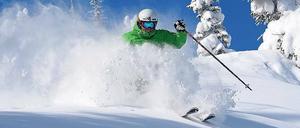 "Tree Skiing" nennen sie in Steamboat das Skifahren zwischen den verschneiten Bäumen - und der trockene Pulverschnee heißt "Champagne Powder". 
