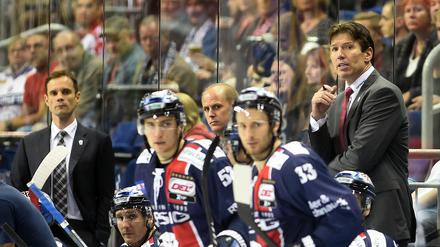 Gute Aussichten. Mit einem Sieg in Mannheim hätten die Eisbären die Play-off-Teilnahme so gut wie sicher. 