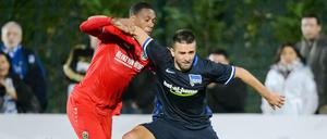 Durchsetzungsstark. Vedad Ibisevic (rechts) erzielte den Treffer zu Herthas 1:0-Sieg gegen Hannover 96.