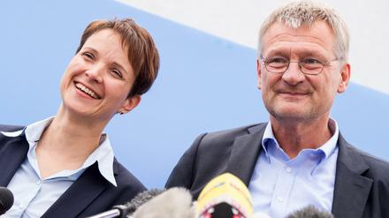 Die beiden AfD-Chefs Frauke Petry und Jörg Meuthen.