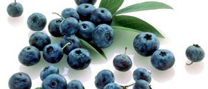 Lecker und gesund. Blaubeeren sind eine Quelle für Flavonoide.