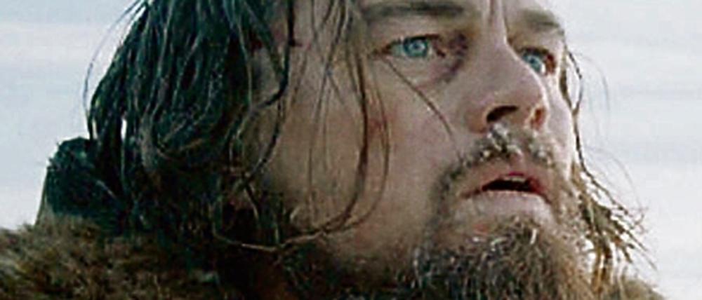 Pelztierjäger in Kanada. Leonardo DiCaprio in "The Revenant". 