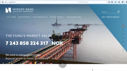 Demonstration des Reichtums: Die Webseite der Zentralbank zeigt den aktuellen Kontostand in Kronen.