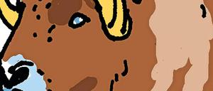 Dickköpfig: der Moschusochse.