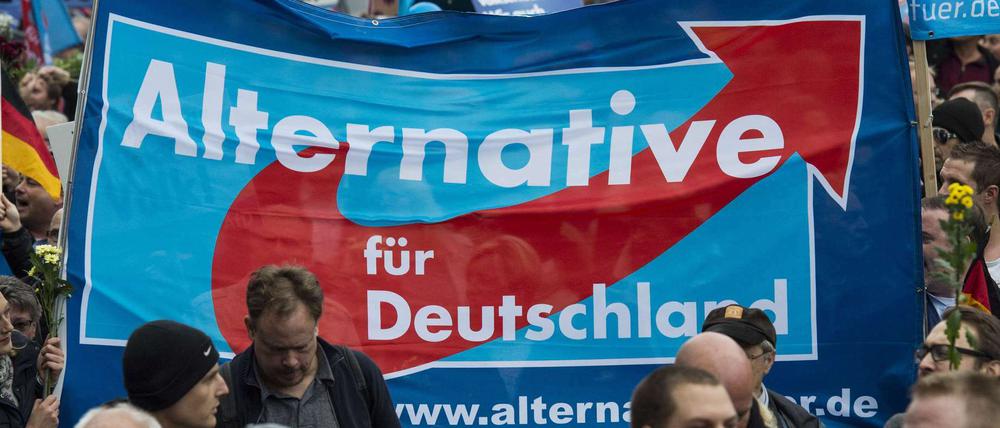 AfD-Anhänger bei einer Demonstration im November in Berlin