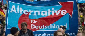 AfD-Anhänger bei einer Demonstration im November in Berlin