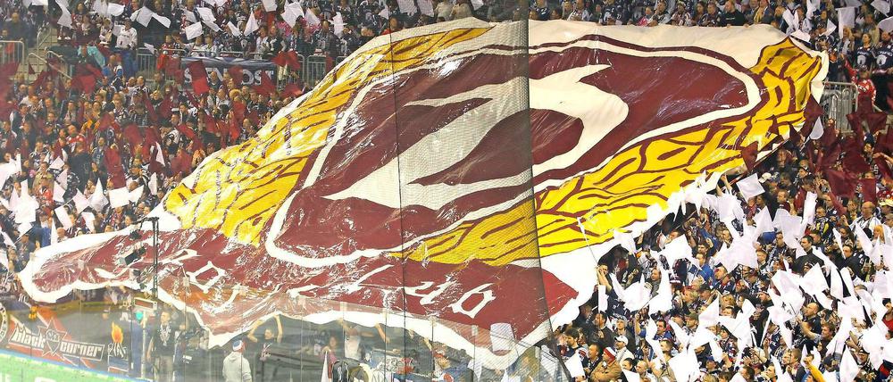 Ostalgie in der Kurve. Die Fans der Eisbären feiern die Vergangenheit.