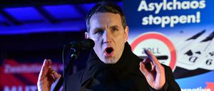 Björn Höcke - hier am 11. Januar in Merseburg (Sachsen-Anhalt) - führt Partei und Fraktion der AfD in Thüringen.