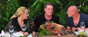 Ex-Big-Brother Jürgen mag sein Kamelhirn nicht. Da hilft auch kein Zureden der Teamkollegen Helena Fürst und Thorsten Legat.