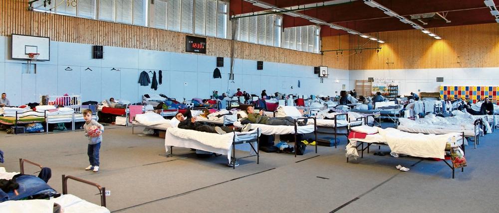Betten für 200 Flüchtlinge in der AWO-Flüchtlingsnotunterkunft in der Turnhalle der Freien Universität. 